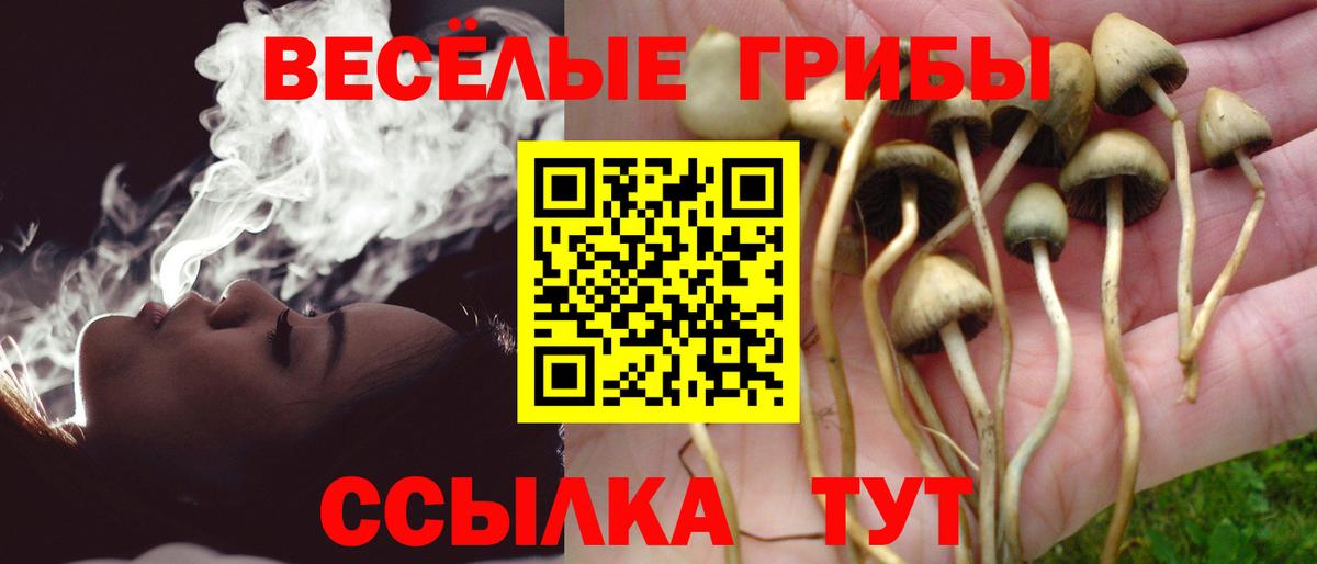 Ипатово  Галлюциногенные грибы Psilocybe  Вход с VPN 